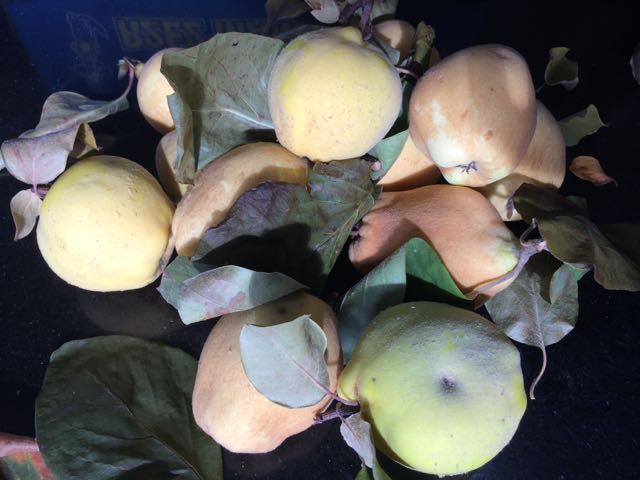 Quince - whole