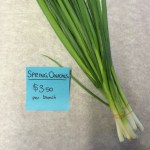 Spring Onion 3.50 bunch