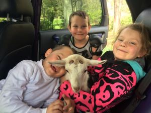 Piccolo's new owners are very excited!